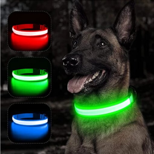 Collare luminoso ricaricabile USB