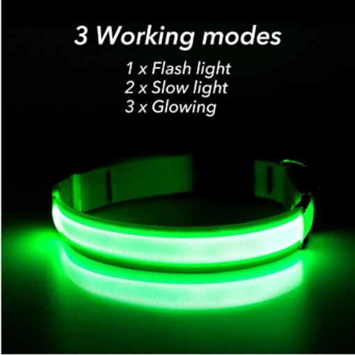 Collare luminoso ricaricabile USB - immagine 2