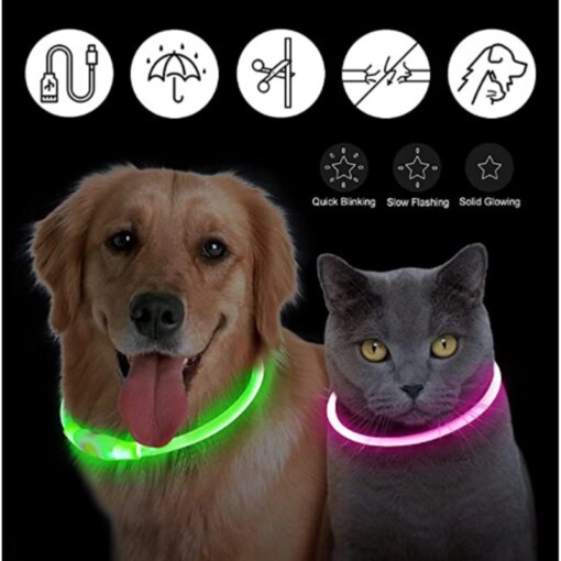 Collare luminoso ricaricabile USB - immagine 3