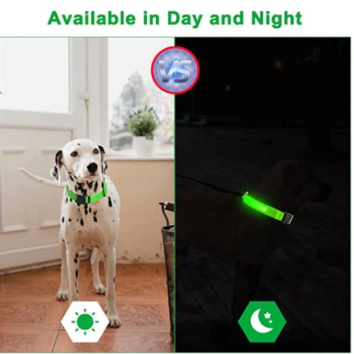 Collare luminoso ricaricabile USB - immagine 5