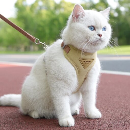 Pettorina e Guinzaglio Eleganti per Gatti e Cani di Piccola Taglia - Traspirante e Resistente