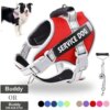Pettorina per Cani con Targhetta ID Personalizzata, Regolabile, con Guinzaglio - Ideale per Cani di Taglia Grande e Addestramento