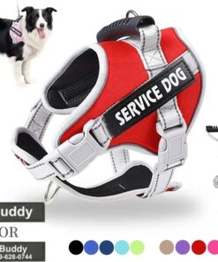 Pettorina per Cani con Targhetta ID Personalizzata, Regolabile, con Guinzaglio - Ideale per Cani di Taglia Grande e Addestramento