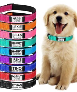Collare Personalizzato per Cani e Gatti con Incisione, Riflettente e Regolabile