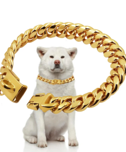 Collare a Catena Cubana per Cani in Acciaio Inox - Oro/Argento - 14mm