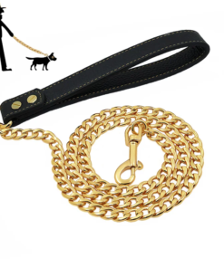 Guinzaglio per Cani in Acciaio Inox Dorato - Resistente e Elegante