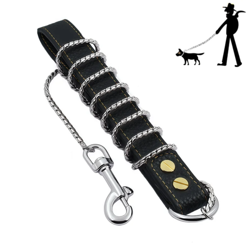 Guinzaglio a Catena in Acciaio Inox Oro/Argento per Cani Taglia Piccola/Media