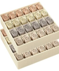 Organizer Intimo Reggiseni Calzini Cassettiera Pieghevole Armadio