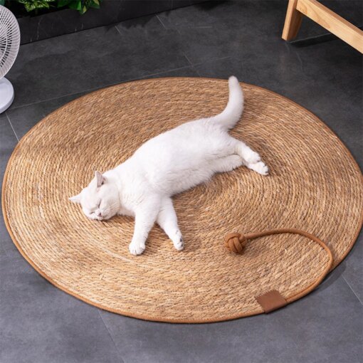Tiragraffi in Rattan per Gatti