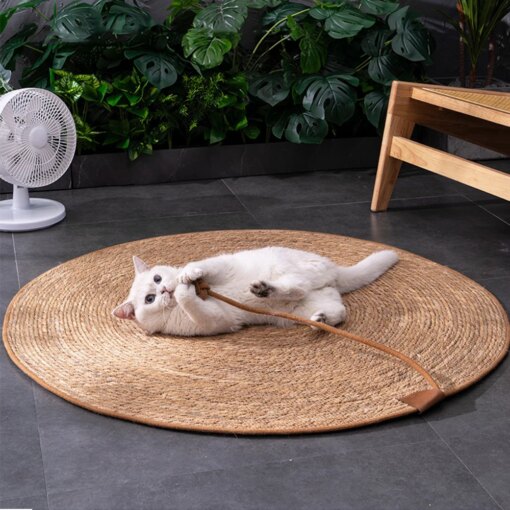 Tiragraffi in Rattan per Gatti - immagine 5