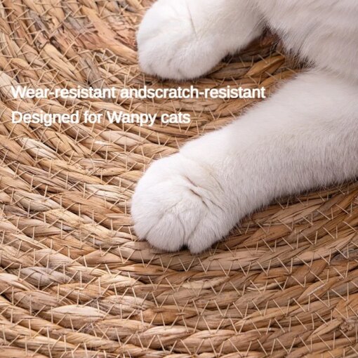 Tiragraffi in Rattan per Gatti - immagine 2