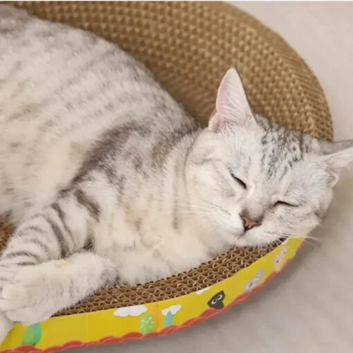 Tiragraffi Ovale per Gatti in Cartone - Proteggi i tuoi Mobili! - immagine 5